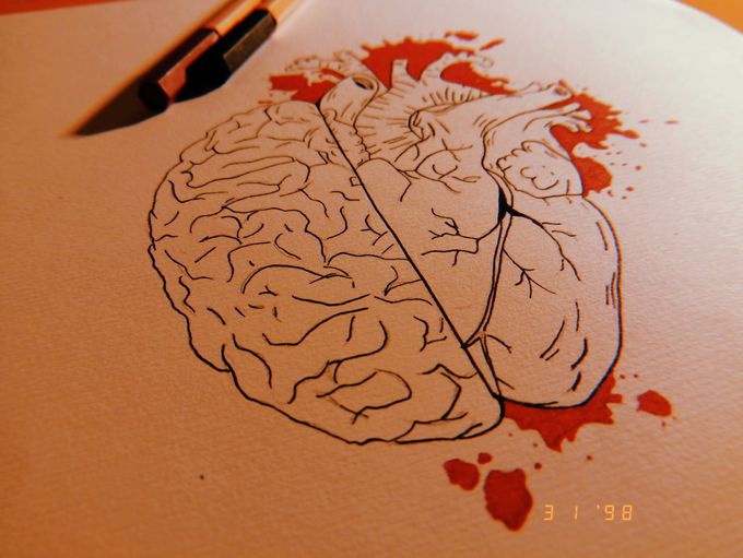 Brain and heart