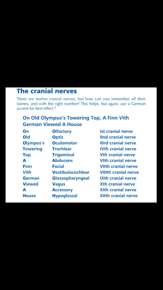 About cranial nerves. Medical menomics