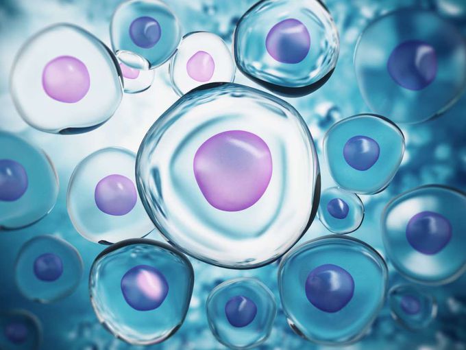 This 'genetic switch' could help to fight cancer