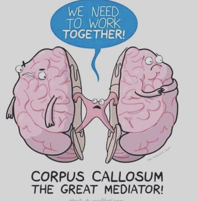 MEDizzy