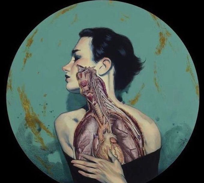 Beauty in anatomy 🙌🏻🧠💕