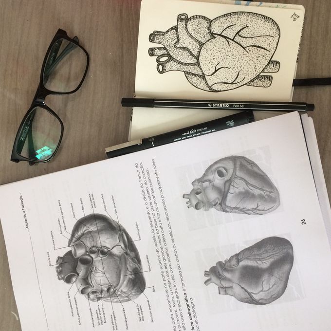 Heart
