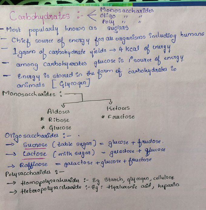 Basic biochemistry for clinical correlation