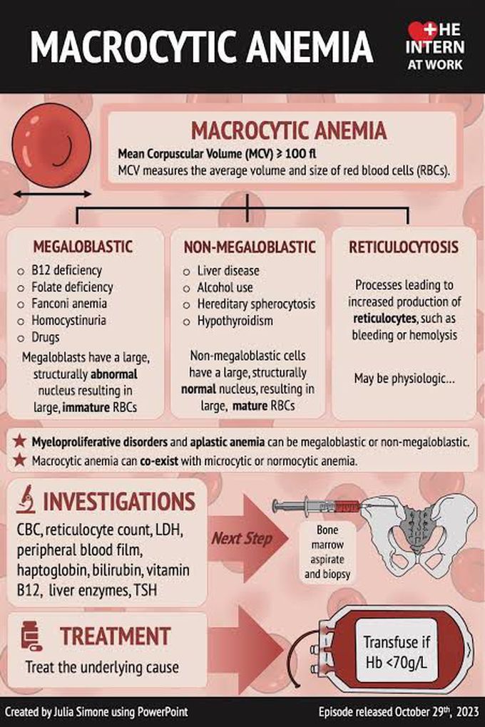Macrocytic Anemia