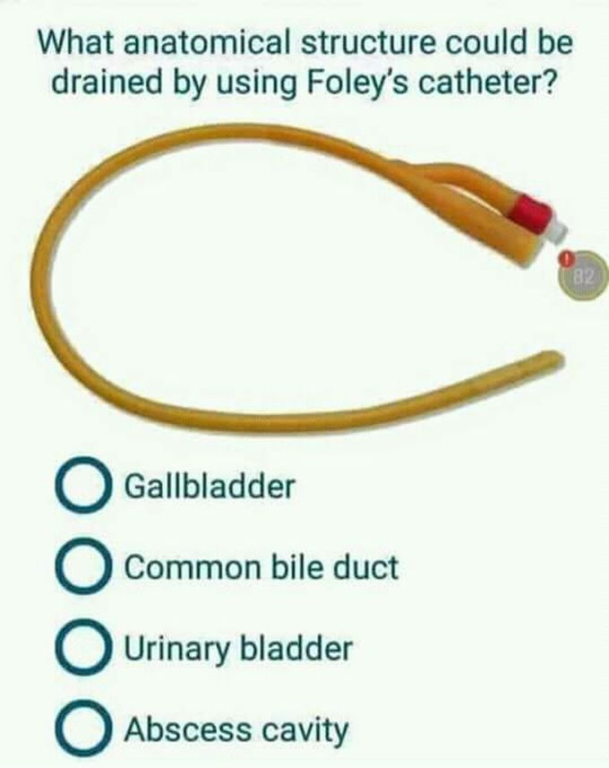 Catheter