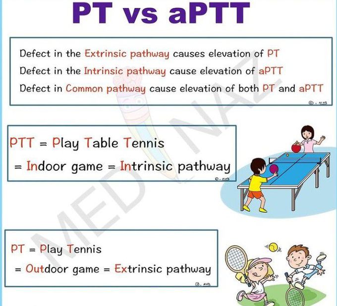 PT vs aPTT