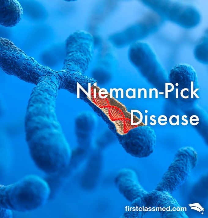 Neimann-Pick disease - The Reversal of Growth Disorder