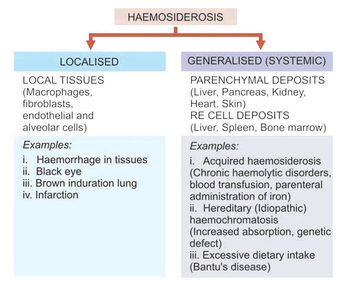 Effects of haemosiderosis..