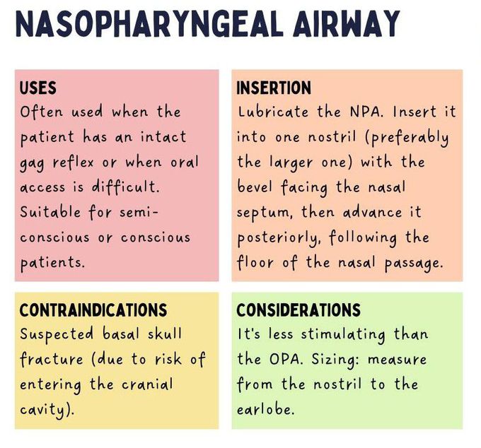 Nasopharyngeal Airway