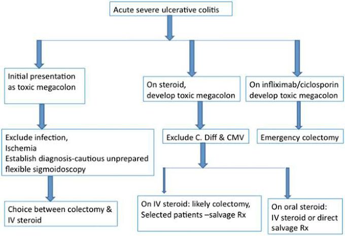 C.diff Infection- Management