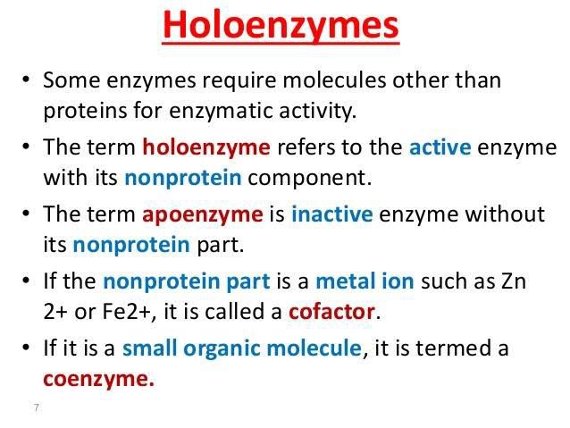 🌷 Holoenzyme and apoenzyme. 6 Difference Between Apoenzyme And Co. 2022 ...