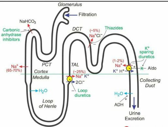 Simple diuretics medication DKMEDLIFE