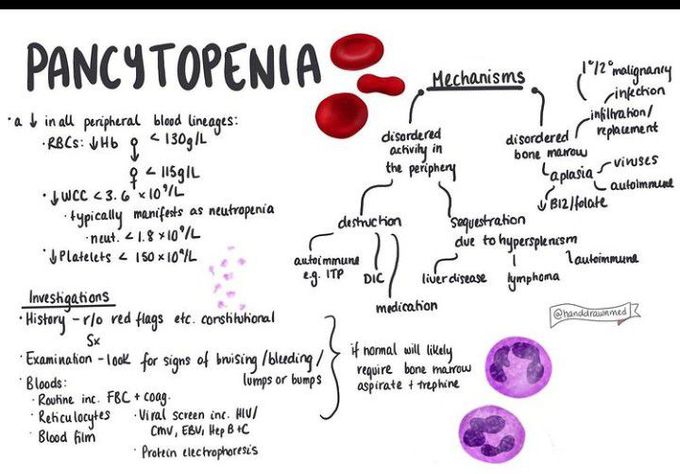 Pancytopenia