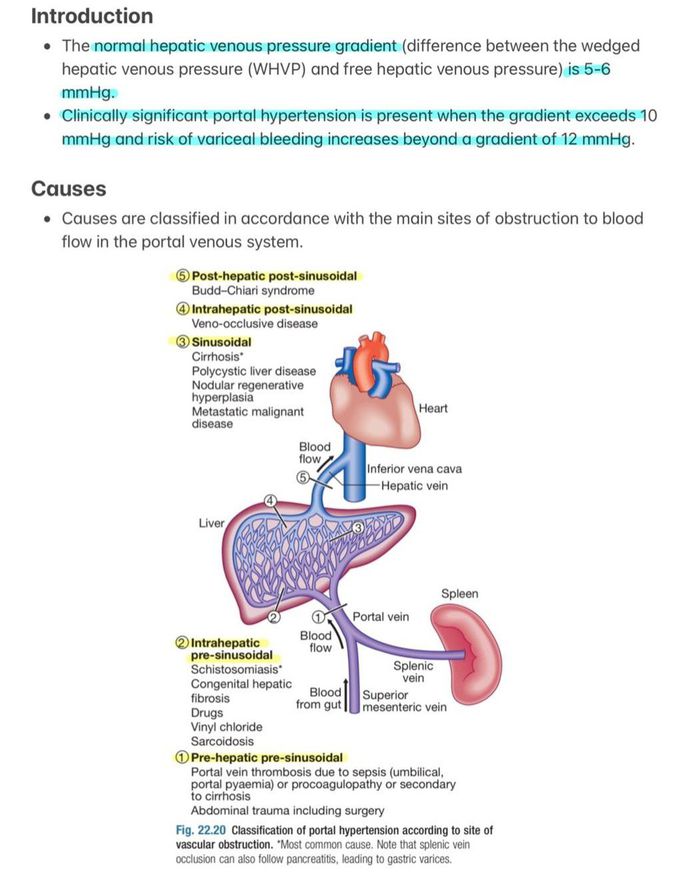 Portal Hypertension I