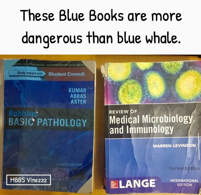 Seriously 🤦🏻‍♀️