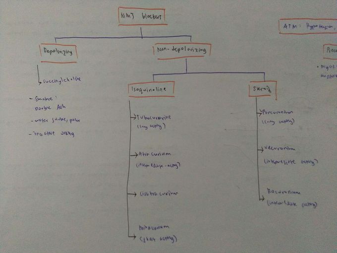Neuromuscular junction blockers