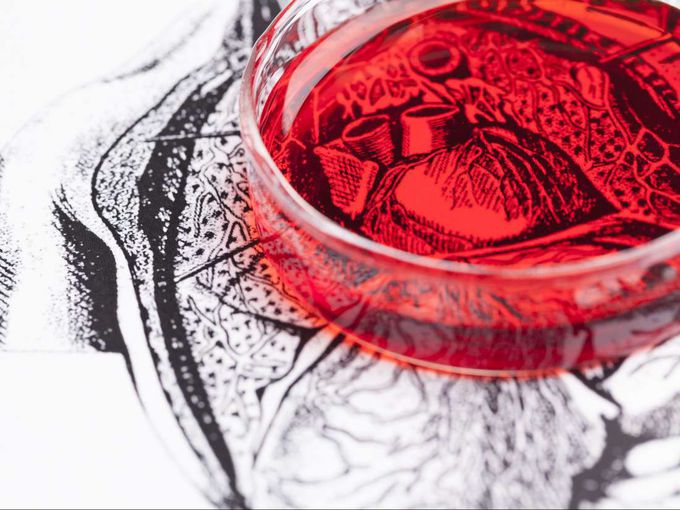 Heart failure: Destroying gut bacteria could improve outcomes