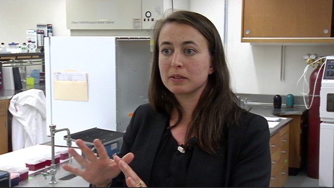 Is there a link between the 'gut microbiome' and autism? Oregon State part of new research