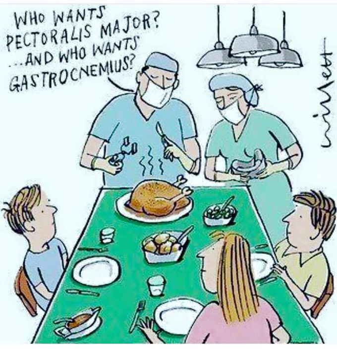 Family medicine