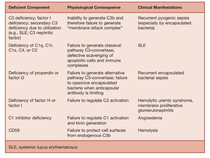 Complement deficiency consequences