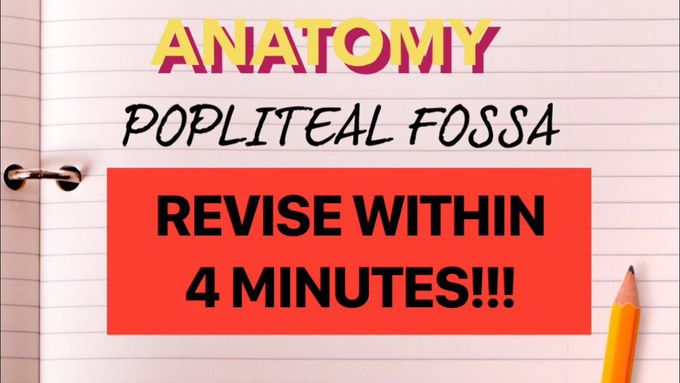 Popliteal fossa Anatomy | REVISE WITHIN 4 MINUTES