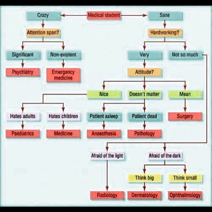 Medical students