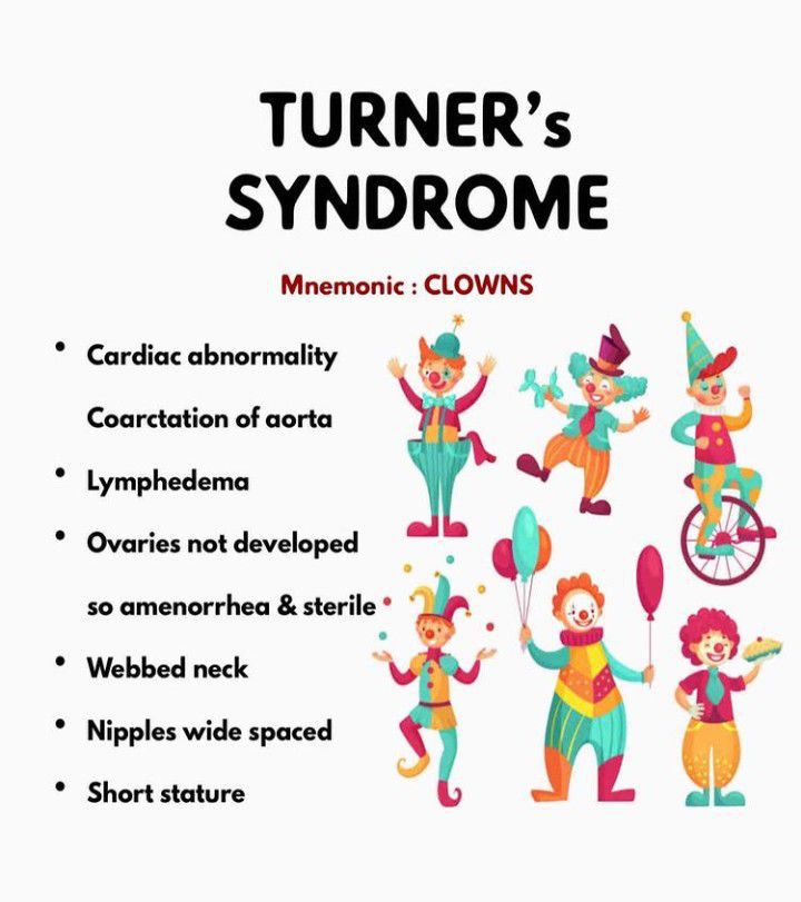 turner syndrome female genitalia