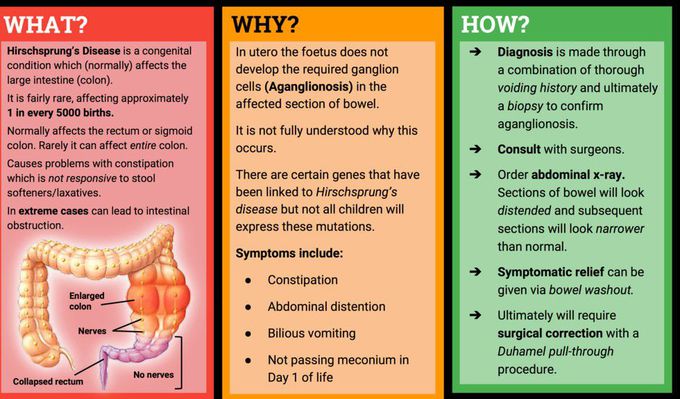 Cause of Hirschsprung's disease