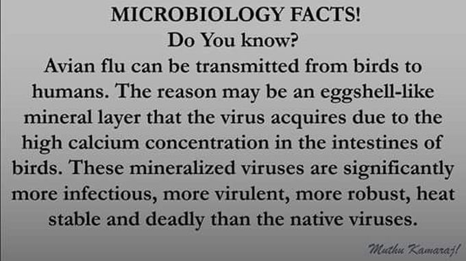 Microbiology fact #_