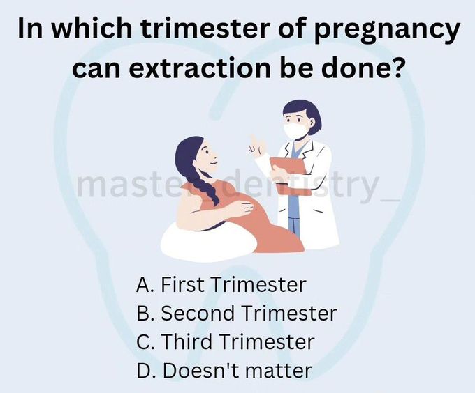 Identify the Trimester