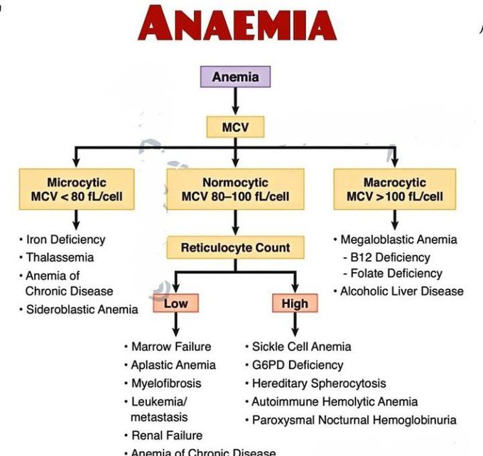 Anaemia