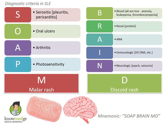 Diagnostic Criteria of Systemic Lupus Erythematosus Mnemonic
