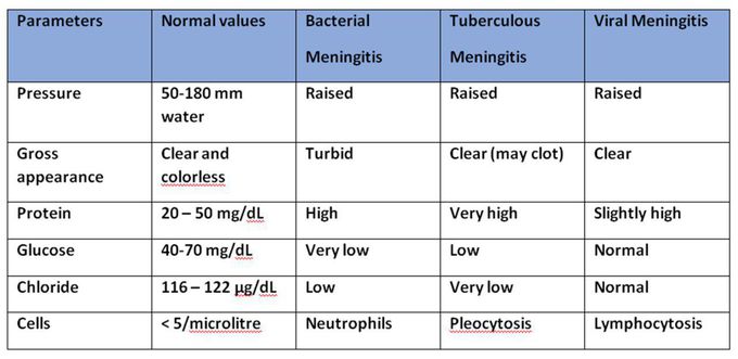 Meningitis types and differences