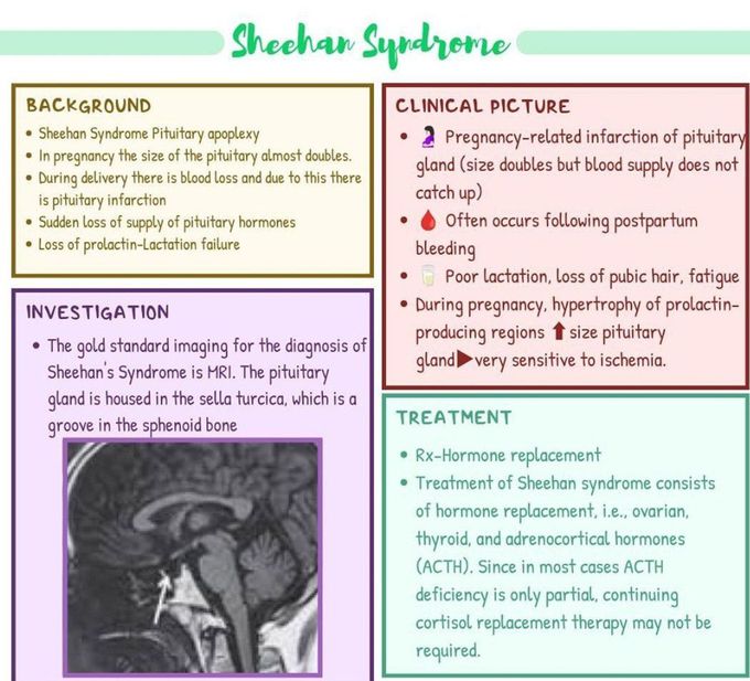 Sheehan Syndrome