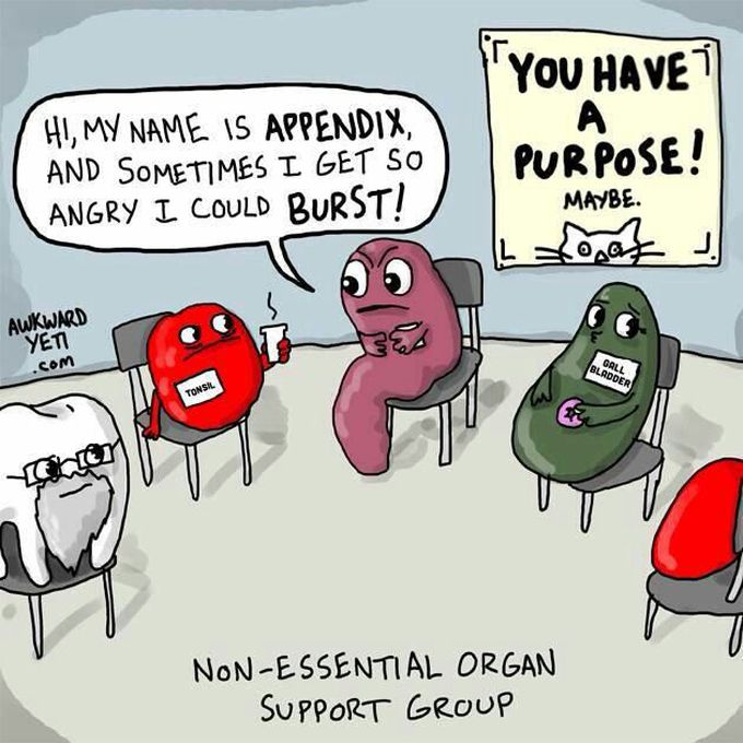 Appendix in depression 😁