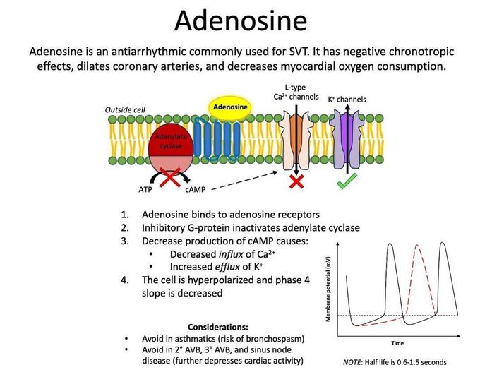 Adenosine