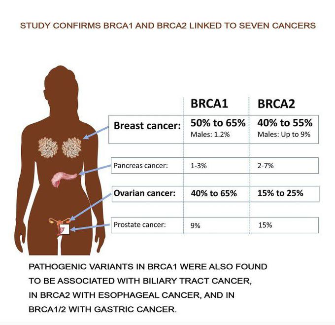 BRCA1 and BRCA2 Linked to Seven Cancers⁠
⁠