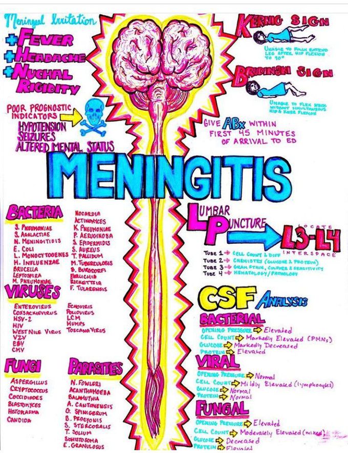Meningitis