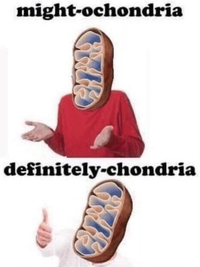 MEDizzy
