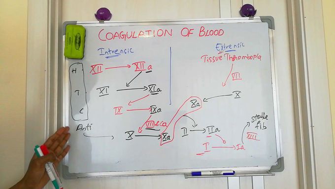coagulation of blood