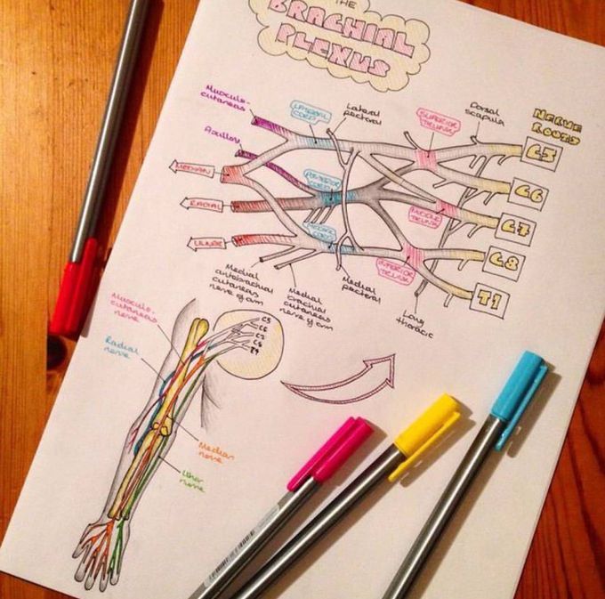 Brachial headache 😂.....