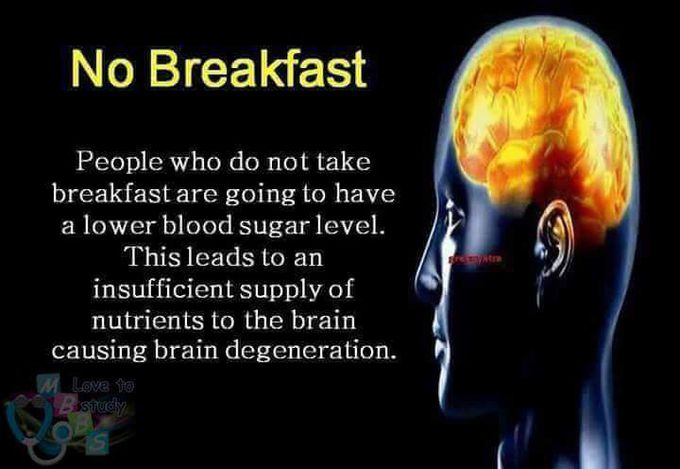 Facts About Human Brain