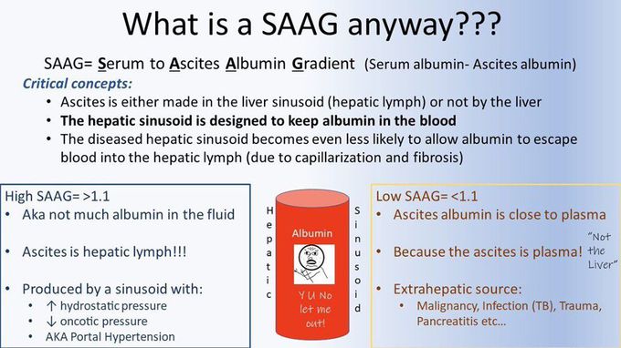 SAAG - Ascites Interpretation⠀