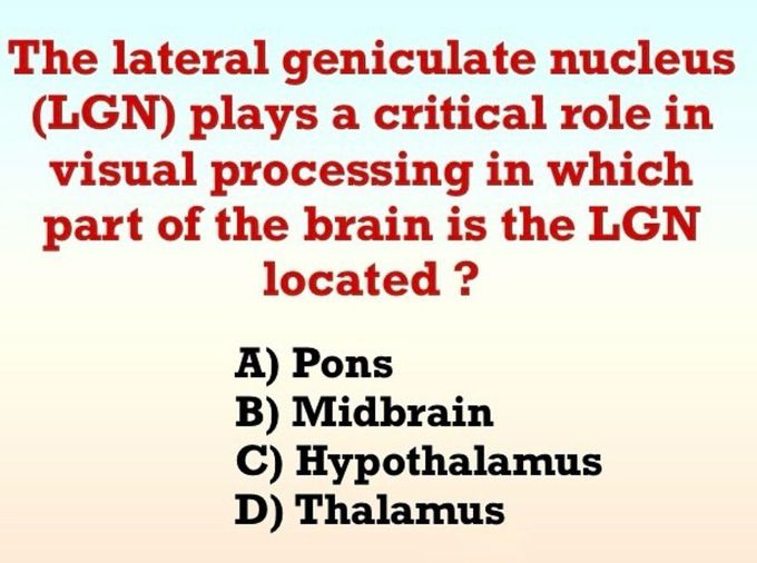 Lateral Geniculate Nucleus