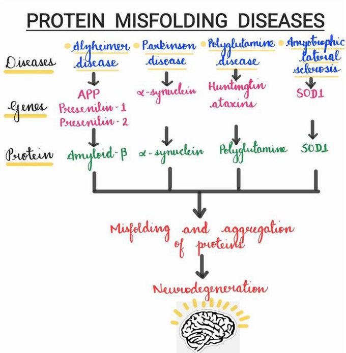 Protein Misfolding Diseases