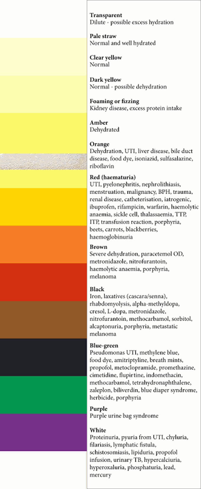 Color Interpretation of Urine