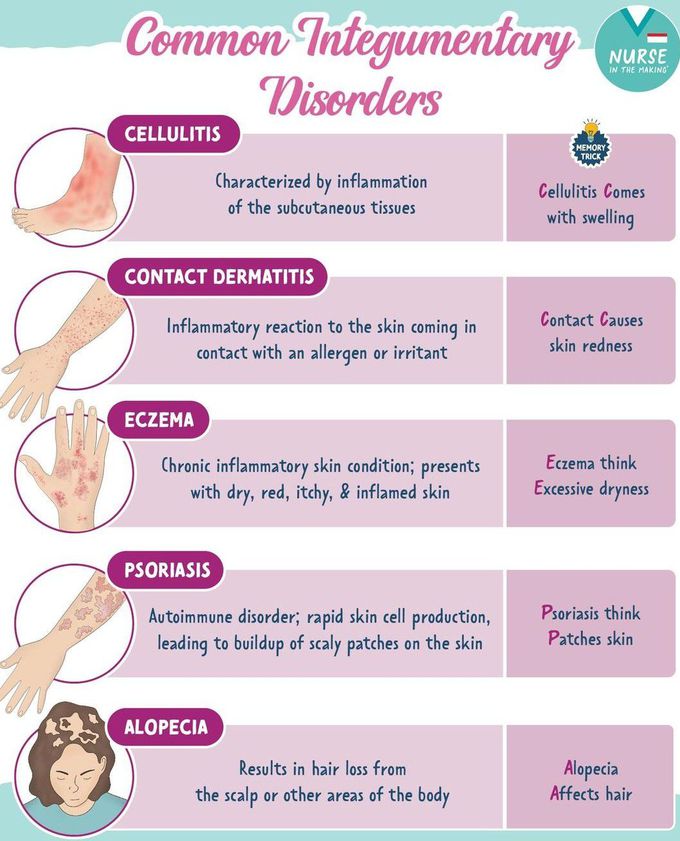 Common Integumentary Disorders