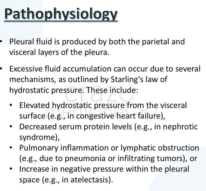 Pleural Effusion II