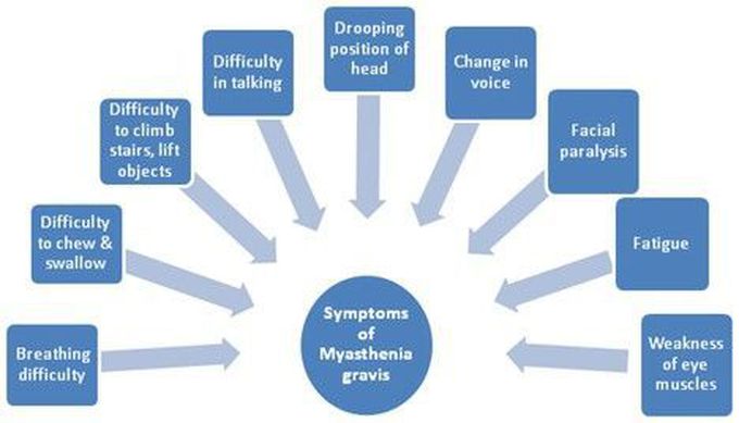 Symptoms of Myasthenia gravis