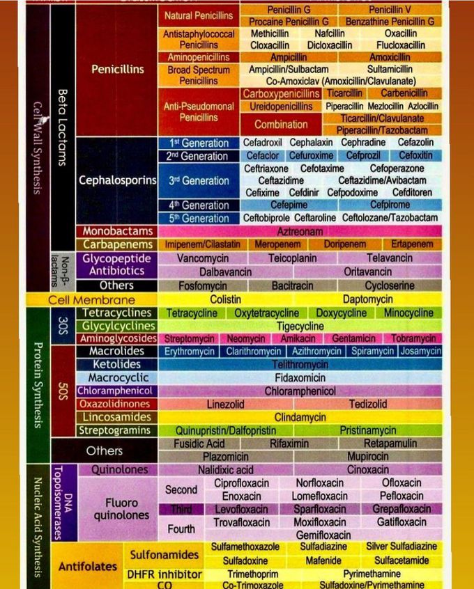 Overall Antibiotics Chart